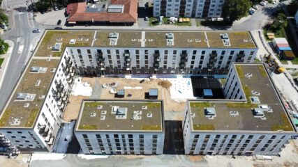 Grün- und Retentions&shy;dächer