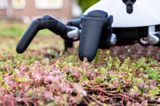 2021-Robot- Patina-ADV20211015_0792