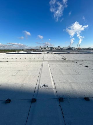 PHOTO-2024-12-01-15-05-07 (4)